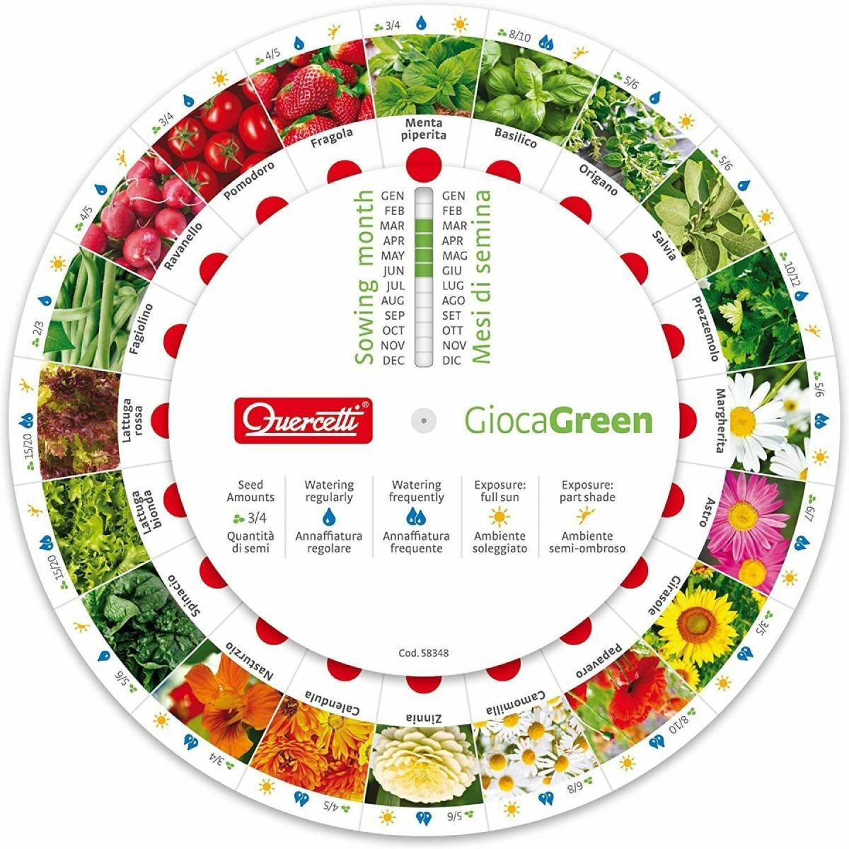 Gioca Green Ortaggi Orto Per Bambini 0681 - immagine 4