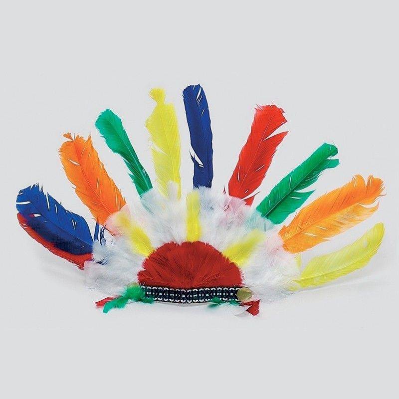 Pennacchio Indiano Multicolore