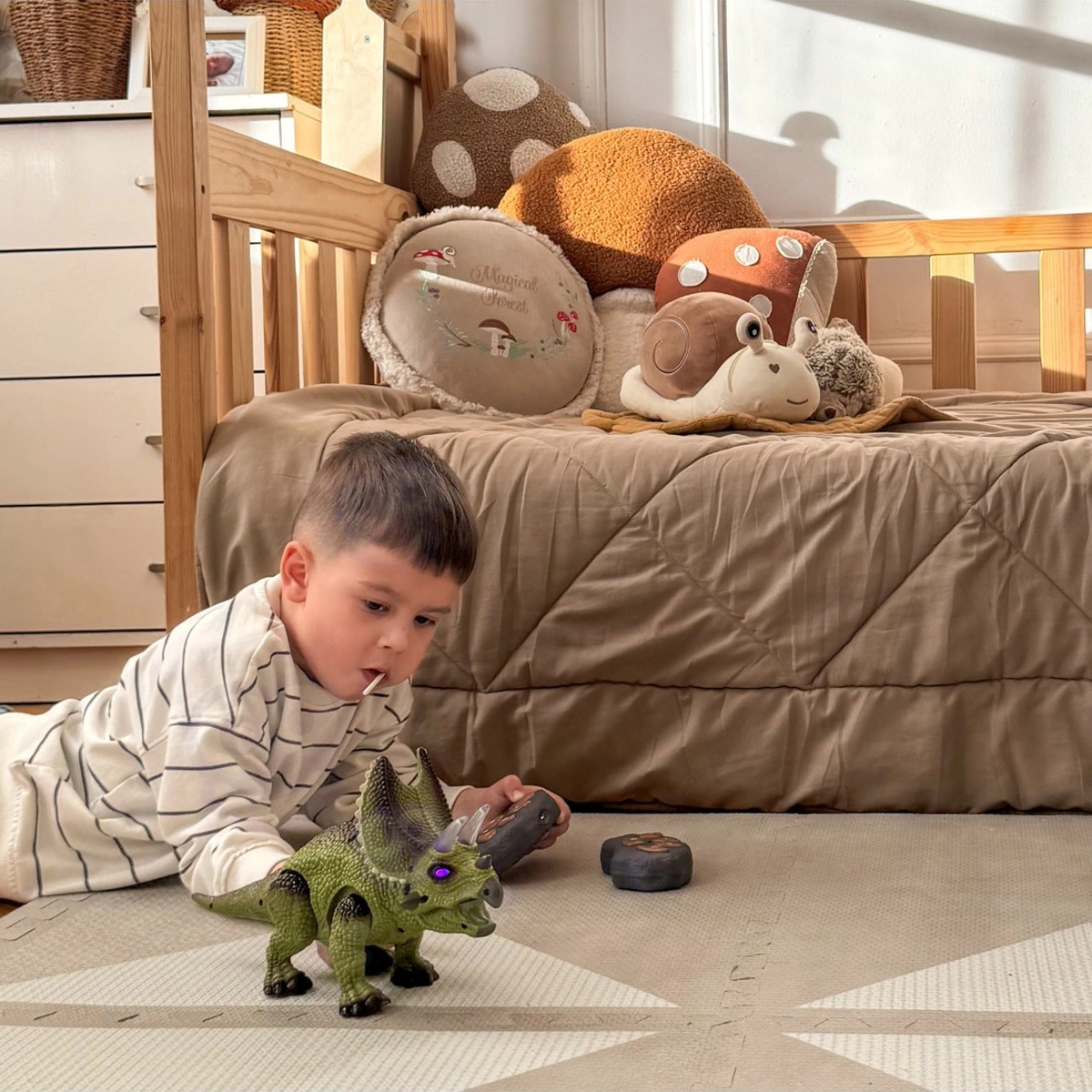 Bambino guida il triceratopo a distanza